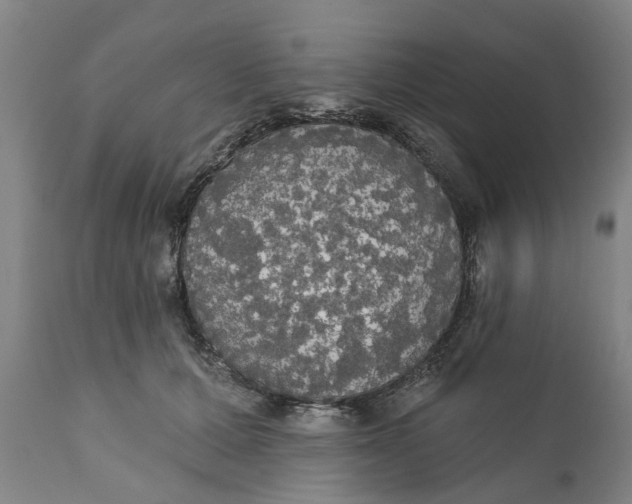 X0000111910607200908171303