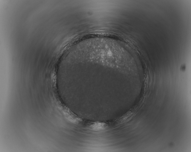 X0000111910609200908171303