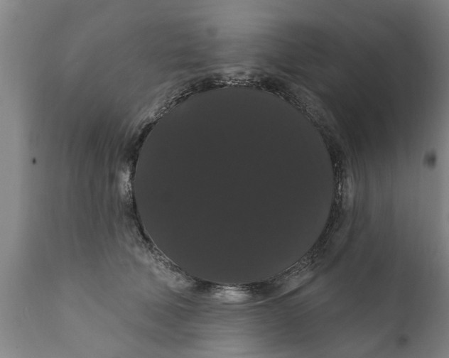 X0000111910610200908171303