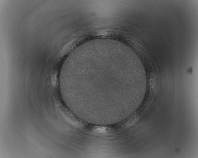 X0000111910611200908171303