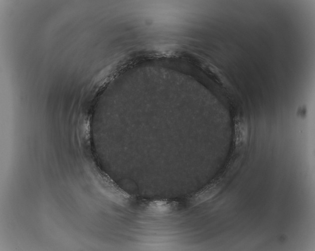 X0000111910613200908171303