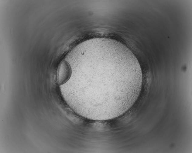 X0000111910615200908171303