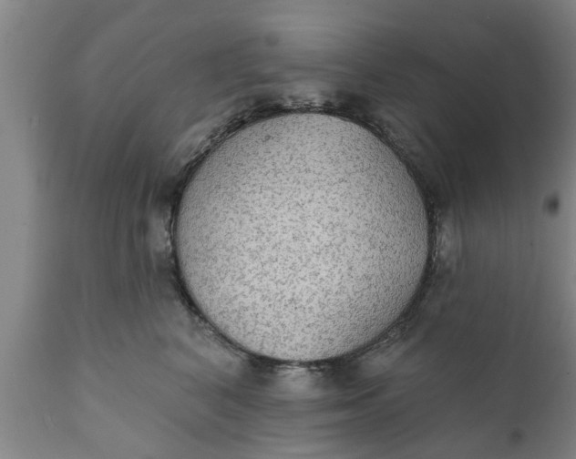X0000111910616200908171303