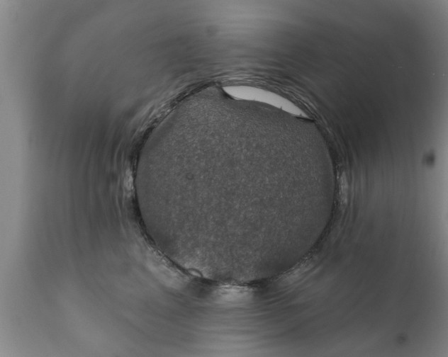 X0000111910617200908171303