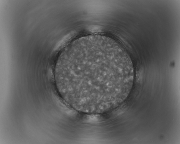 X0000111910618200908171303