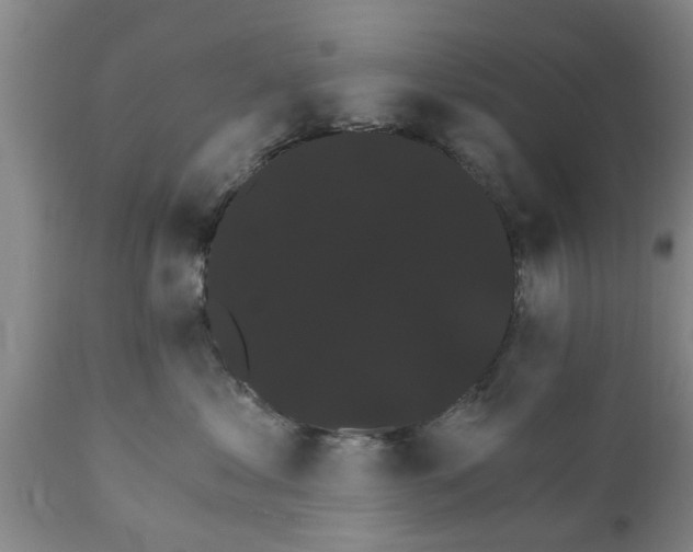 X0000111910621200908171303