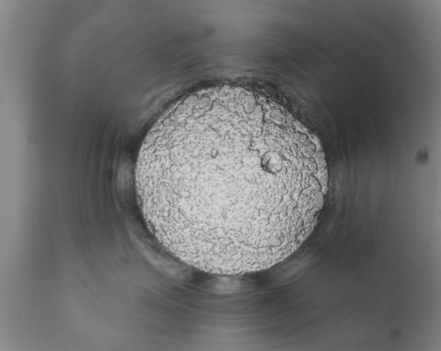 X0000111910623200908171303