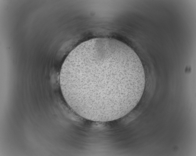 X0000111910624200908171303