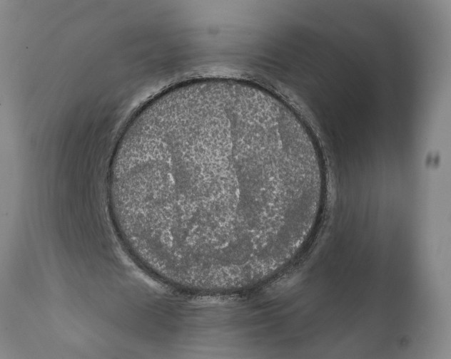 X0000111910625200908171302