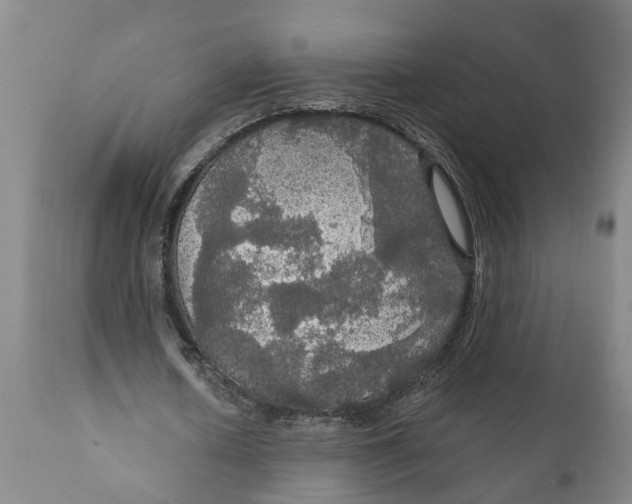 X0000111910626200908171302