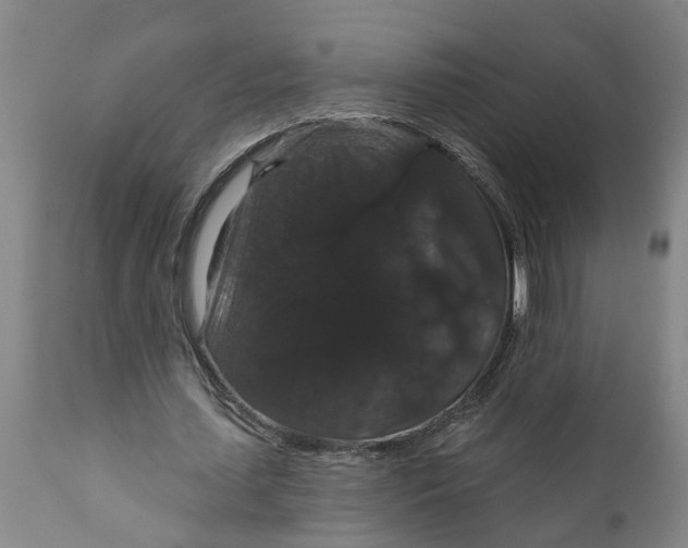 X0000111910627200908171302