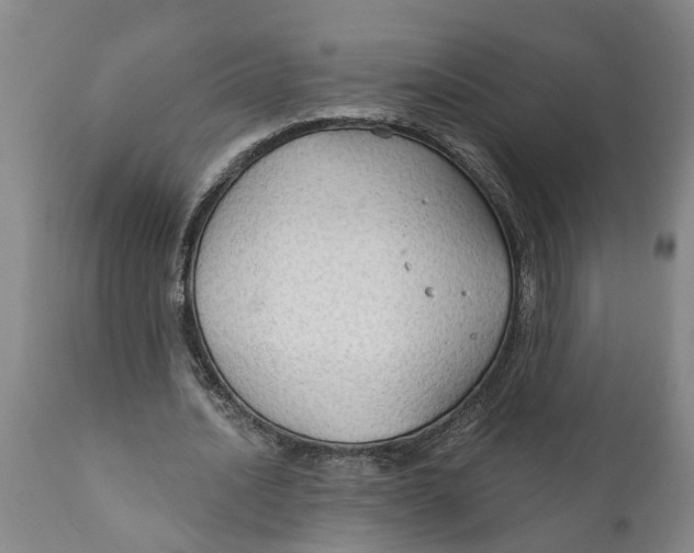 X0000111910628200908171302