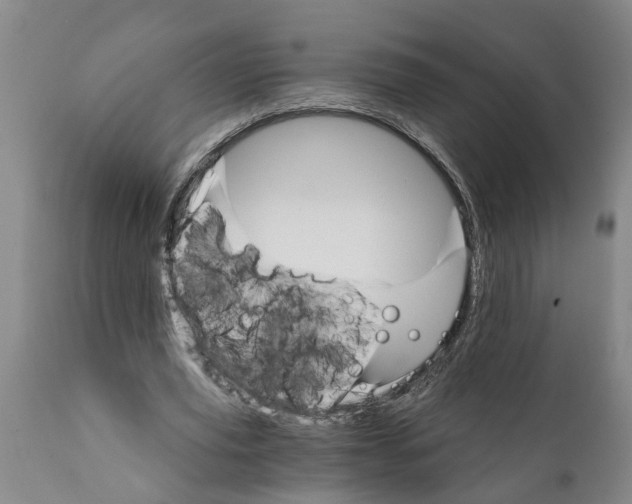 X0000111910629200908171302