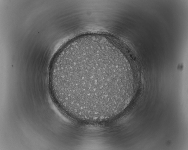 X0000111910630200908171302