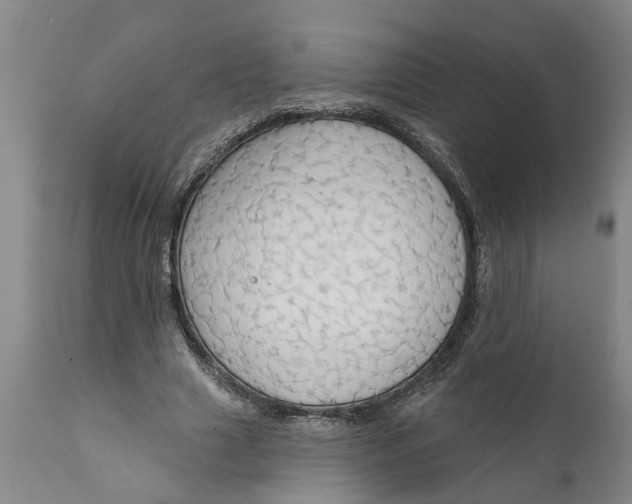 X0000111910633200908171302