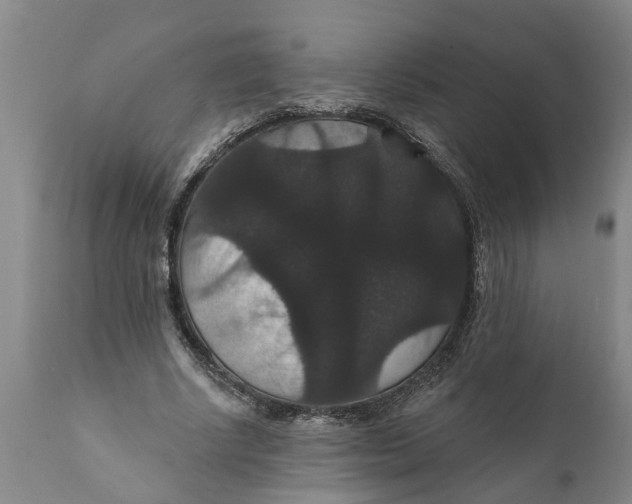 X0000111910634200908171303