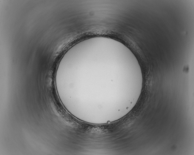 X0000111910635200908171303