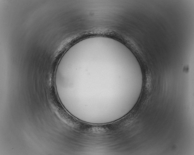 X0000111910636200908171303