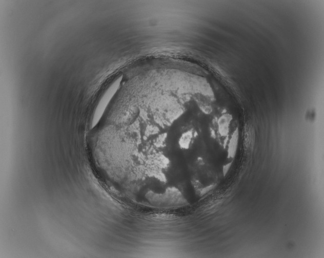 X0000111910637200908171303