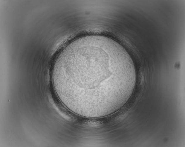X0000111910638200908171303