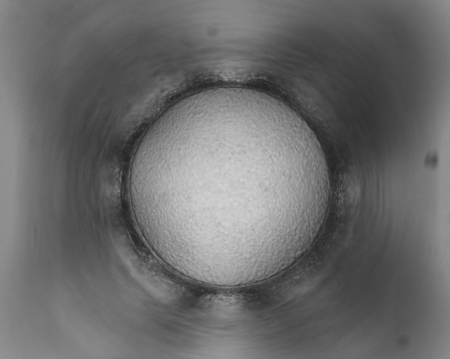 X0000111910639200908171303
