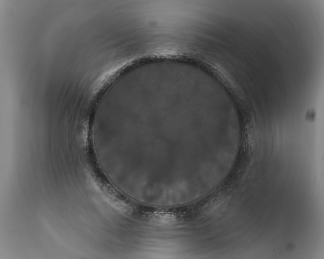 X0000111910640200908171303