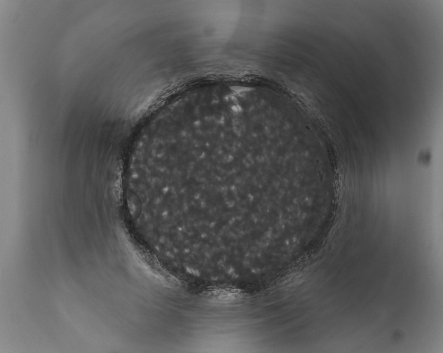 X0000111910642200908171303