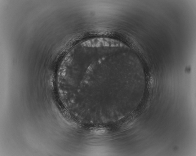 X0000111910643200908171303
