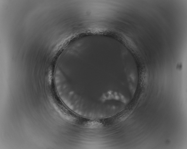 X0000111910644200908171303