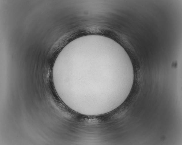 X0000111910645200908171303