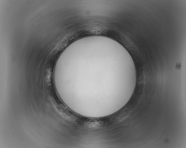 X0000111910646200908171303