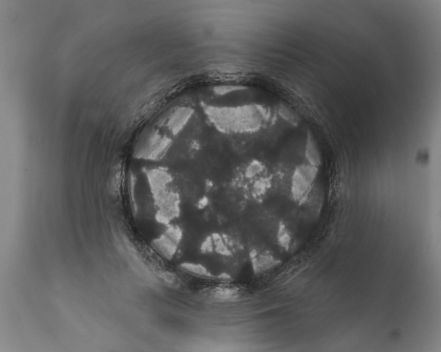 X0000111910647200908171303