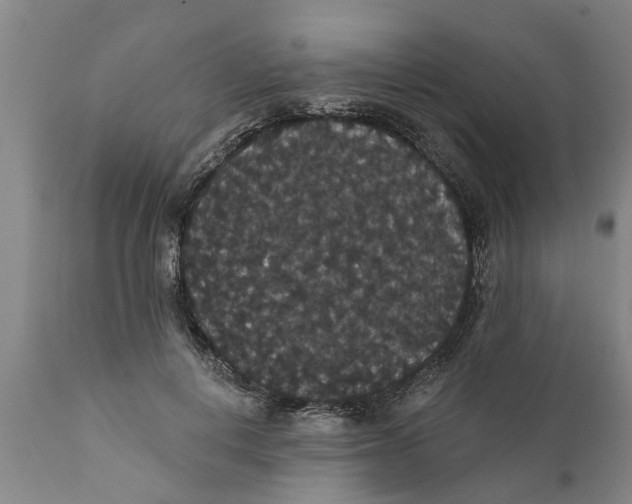 X0000111910648200908171303