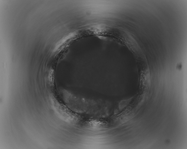 X0000111910650200908171303