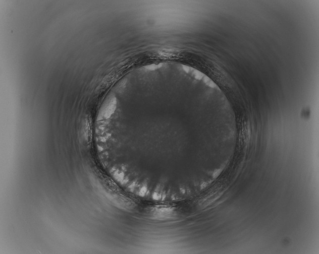 X0000111910651200908171303