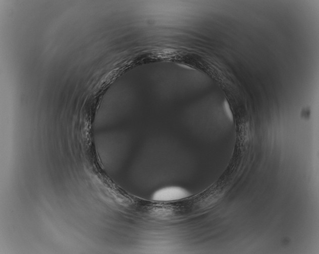 X0000111910653200908171303