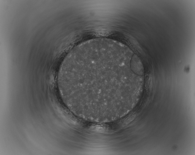 X0000111910655200908171303