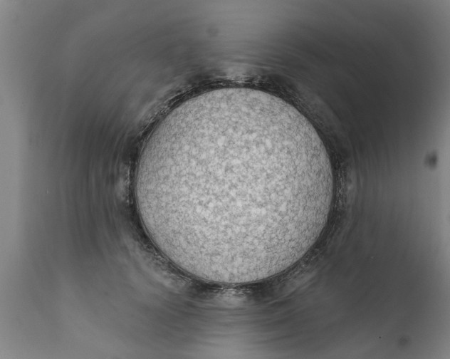 X0000111910656200908171303