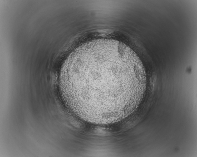 X0000111910657200908171303