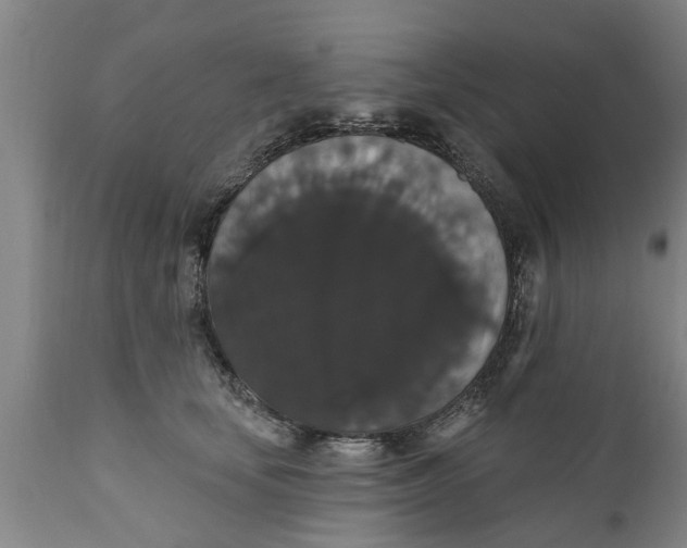 X0000111910659200908171303