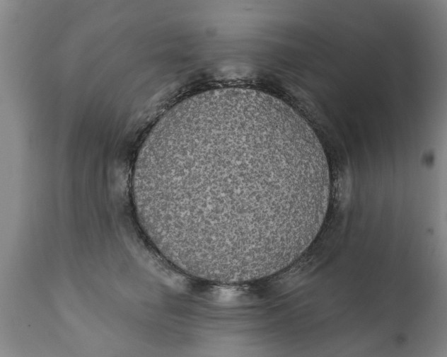 X0000111910662200908171303