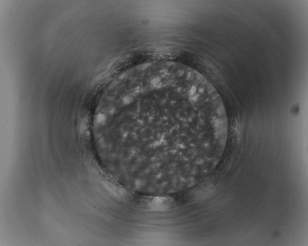 X0000111910663200908171303