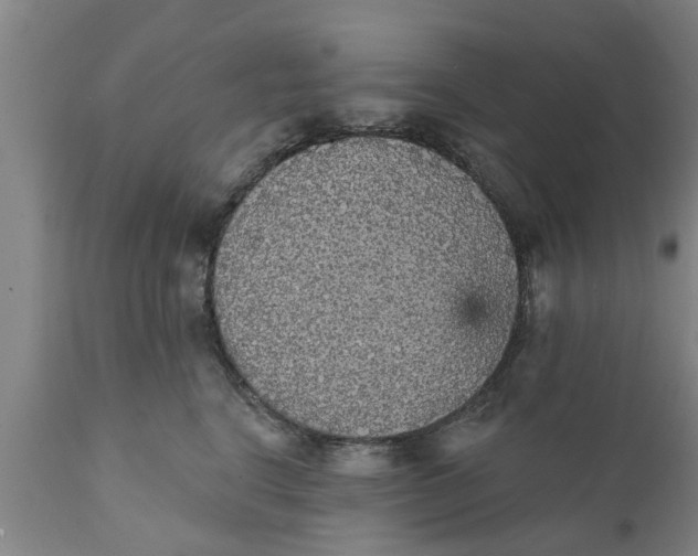 X0000111910664200908171303