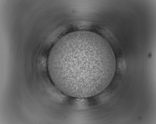 X0000111910667200908171303