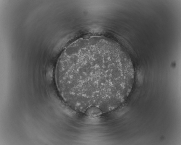 X0000111910668200908171303