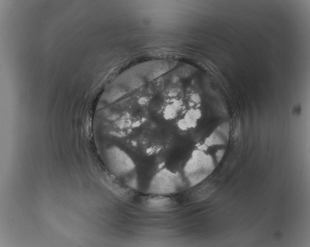 X0000111910669200908171303