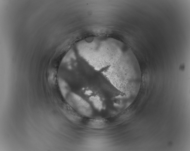 X0000111910671200908171303