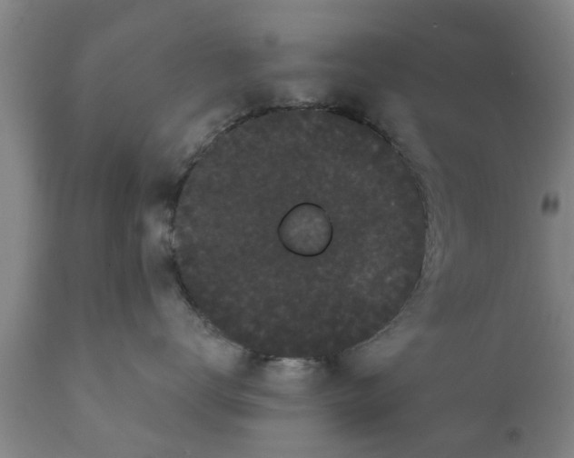 X0000111910672200908171303