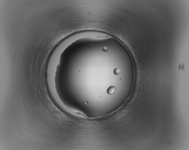 X0000111910673200908171302