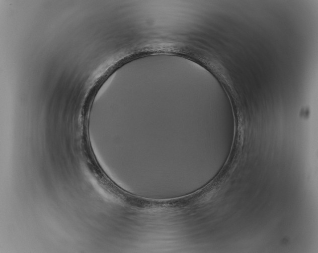 X0000111910674200908171302